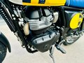 2026 Royal Enfield Bear 650, жёлтый - вид 11