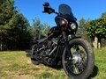 2019 Harley-Davidson Softail Custom, коричневый, 971000 рублей - вид 5