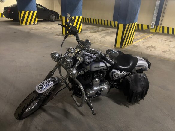 2005 Harley-Davidson Sportster 1200, белый, 700000 рублей - вид 6