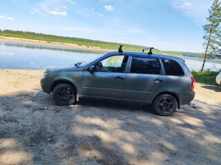 2009 Lada (ВАЗ) Kalina I, серый, 220000 рублей, вид 4