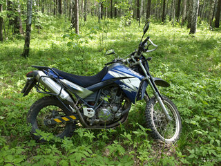 2005 Yamaha XT660X, синий, 370000 рублей, вид 3