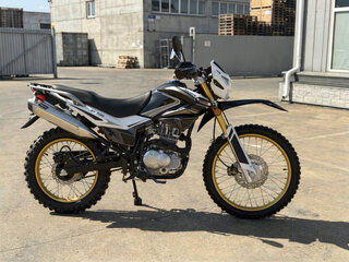 2026 Regulmoto SK200, синий, 124400 рублей, вид 3