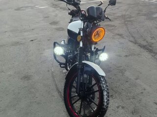 Stingray DB-110
