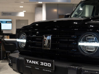 2026 Tank 300 I, чёрный, 4499000 рублей, вид 5