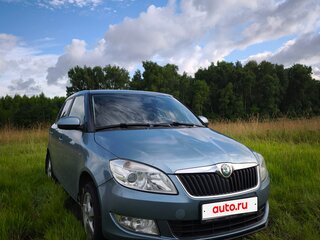 2011 Skoda Fabia II Рестайлинг, серый, 600000 рублей, вид 1