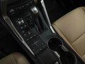 2019 Lexus NX 300h I Рестайлинг, коричневый, 3175000 рублей - вид 11