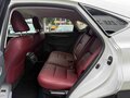 2021 Lexus NX 200 I Рестайлинг, белый, 3300000 рублей - вид 8