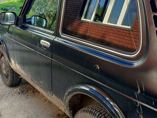 2014 Lada (ВАЗ) 2121 (4x4) I Рестайлинг, зелёный, 300000 рублей, вид 2