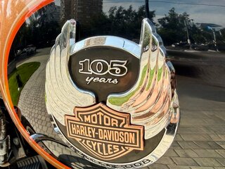 2008 Harley-Davidson XL1200, золотистый, 620000 рублей, вид 2