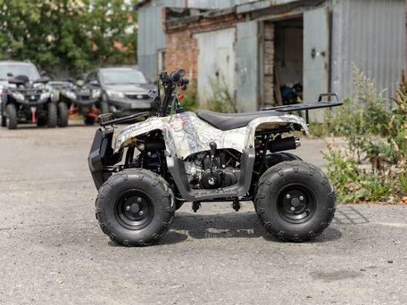 2026 Motoland ATV 110 Rider, серый, 78400 рублей, вид 3