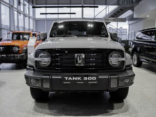 2026 Tank 300 I, серый, 4799000 рублей, вид 4