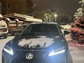 2021 Lexus RX 300 IV Рестайлинг, чёрный, 5399999 рублей - вид 4