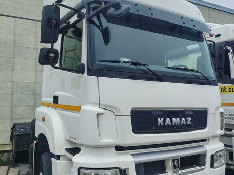 2018 КамАЗ 5490, белый, 1800000 рублей, вид 1