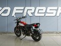 2022 Ducati Scrambler 800, серый - вид 1