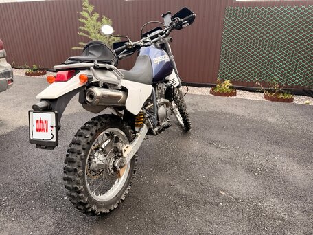 2005 Suzuki Djebel 250, синий, 390000 рублей, вид 5