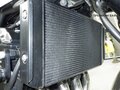 2020 Kawasaki Z 900RS, серый, 1099000 рублей - вид 6