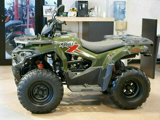 2026 Loncin XWolf 200, зелёный, 229000 рублей, вид 2