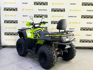 2025 Bashan Explorer 300, зелёный, 339000 рублей, вид 3