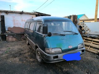1995 Asia Topic, зелёный, 100000 рублей, вид 1