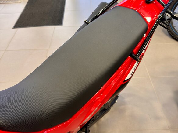 2025 Loncin DS250, красный, 258000 рублей - вид 18