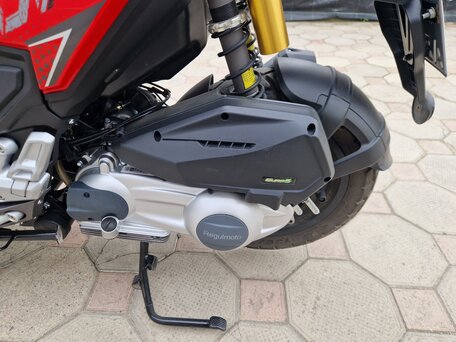 2023 Regulmoto XDV 300, красный, 320000 рублей, вид 5