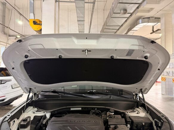 2019 Hyundai Palisade I, белый, 4400000 рублей - вид 16