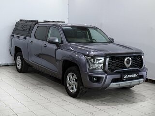 Great Wall Poer King Kong