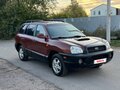 2001 Hyundai Santa Fe I, коричневый, 300000 рублей - вид 2