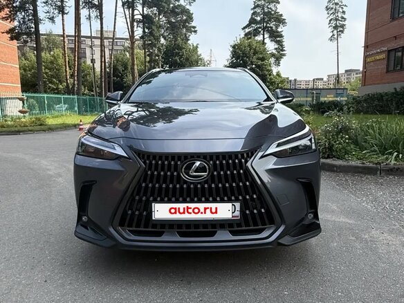 2022 Lexus NX 250 II, серый