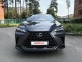 2022 Lexus NX 250 II, серый