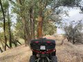 2011 Stels ATV-800, оранжевый, 480000 рублей - вид 1