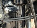 2020 Harley-Davidson Sportster 1200, чёрный, 780000 рублей - вид 5