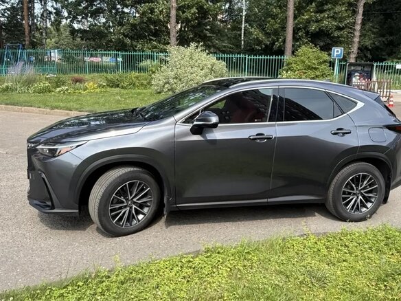 2022 Lexus NX 250 II, серый - вид 5