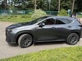 2022 Lexus NX 250 II, серый - вид 5