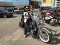 2015 Harley-Davidson Heritage, серый, 2400000 рублей - вид 7