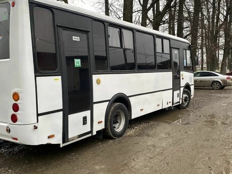 2015 ПАЗ 3204, белый, 1150000 рублей, вид 4