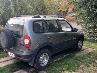 2010 Chevrolet Niva I Рестайлинг, серый, 250000 рублей, вид 2