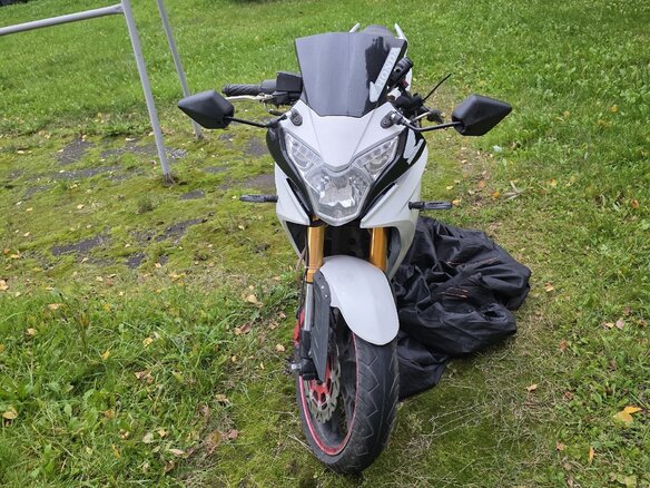2014 S2 Motors Panther CBR250, белый, 110000 рублей - вид 2