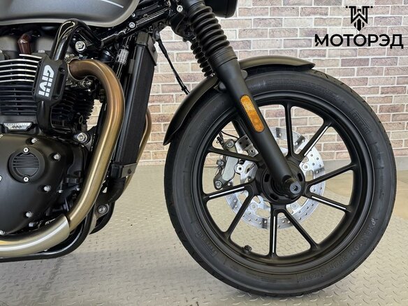 2022 Triumph Speed Twin, серый, 895000 рублей - вид 19