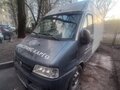 2008 Fiat Professional Ducato, белый, 360000 рублей - вид 3