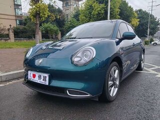 2024 Ora Good Cat 47.8 kWh I, зелёный, 1600000 рублей, вид 1