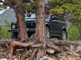 2024 Lada (ВАЗ) Niva Legend Euro-2 I, зелёный, 980000 рублей, вид 2