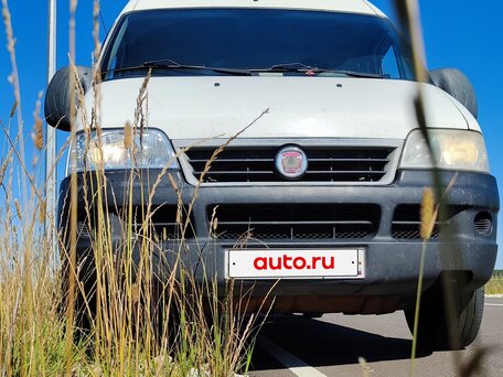 2009 Fiat Professional Ducato, белый, 825000 рублей, вид 2
