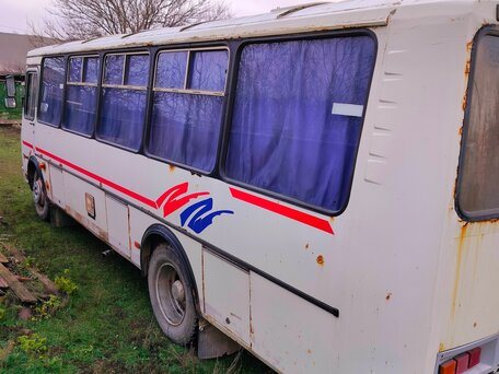 2010 ПАЗ 4234, белый, 600000 рублей, вид 5