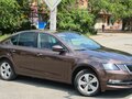 2017 Skoda Octavia III (A7), коричневый, 1840000 рублей - вид 4