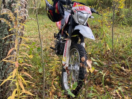 2024 Racer Panther, красный, 85000 рублей, вид 1