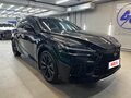 2024 Lexus RX 500h V, чёрный, 11500001 рублей - вид 11