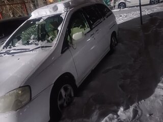 2001 Nissan Liberty, белый, 120000 рублей, вид 2