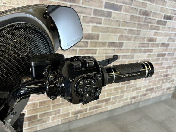 2023 Harley-Davidson CVO Street Glide, серебристый, 3850000 рублей - вид 15