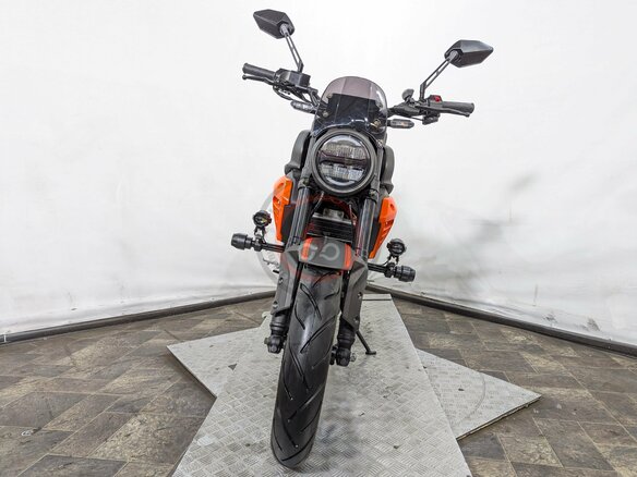 2026 Regulmoto T-Leopard 300, красный - вид 6